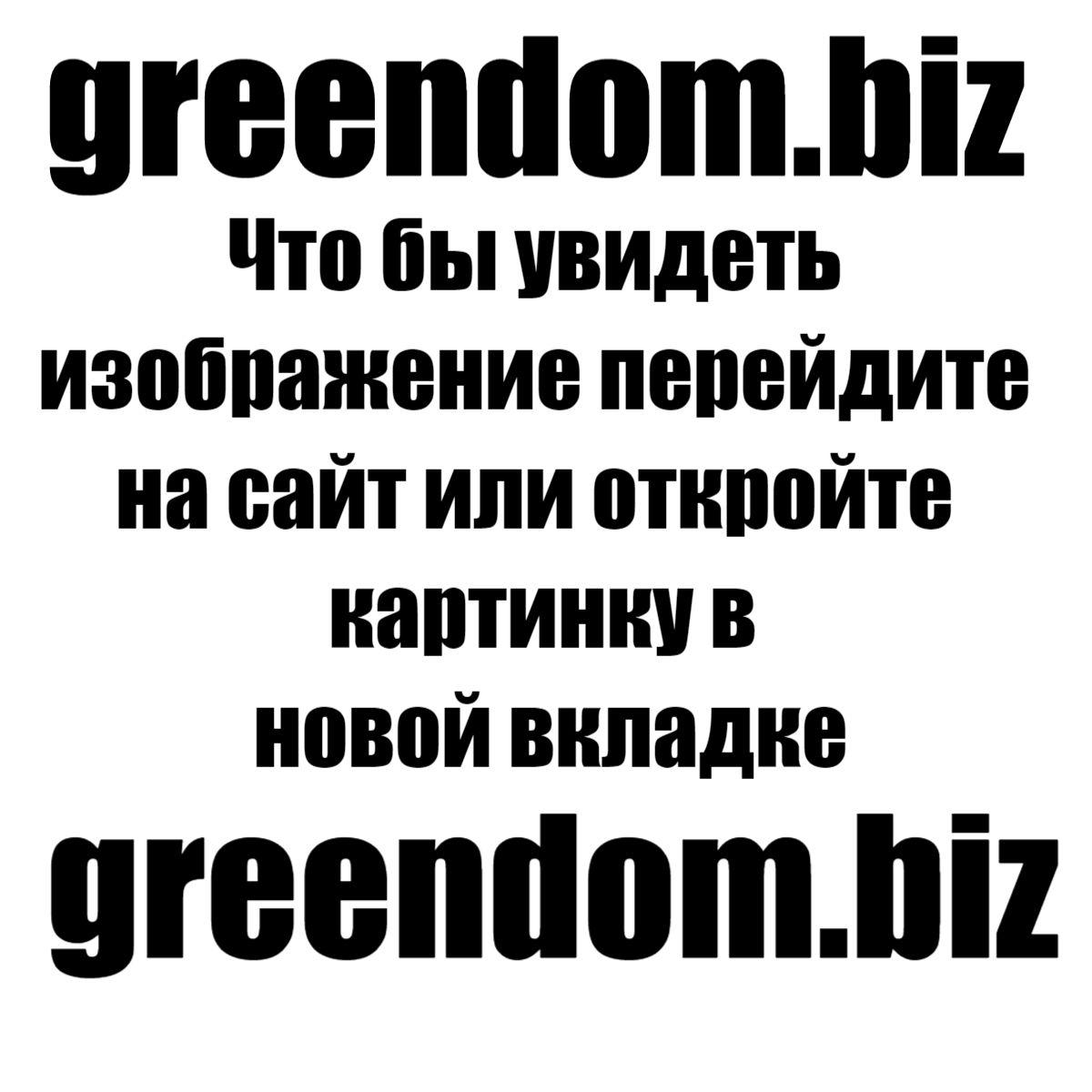 Аспидистра комнатное растение фото